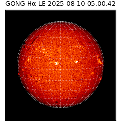 gong - 2025-08-10T05:00:42