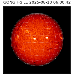 gong - 2025-08-10T06:00:42