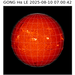 gong - 2025-08-10T07:00:42