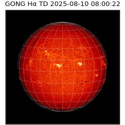 gong - 2025-08-10T08:00:22