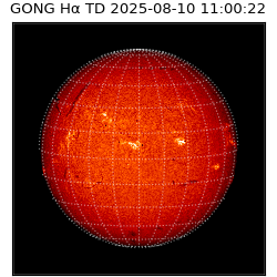 gong - 2025-08-10T11:00:22