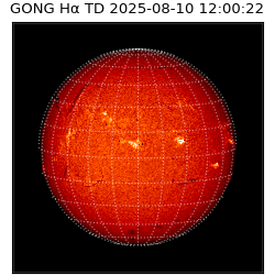 gong - 2025-08-10T12:00:22
