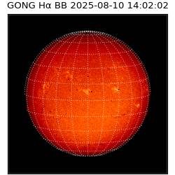 gong - 2025-08-10T14:02:02