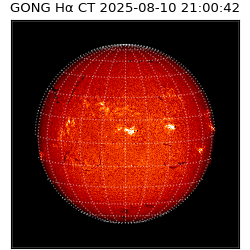gong - 2025-08-10T21:00:42