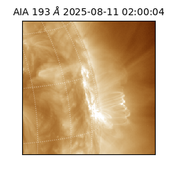 saia - 2025-08-11T02:00:04.843000