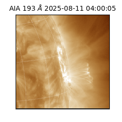 saia - 2025-08-11T04:00:05.521000