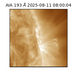 saia - 2025-08-11T08:00:04.843000