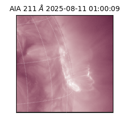 saia - 2025-08-11T01:00:09.626000