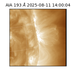 saia - 2025-08-11T14:00:04.843000