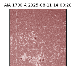 saia - 2025-08-11T14:00:28.718000