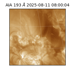 saia - 2025-08-11T08:00:04.843000