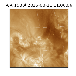 saia - 2025-08-11T11:00:06.647000