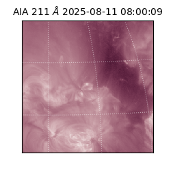 saia - 2025-08-11T08:00:09.632000