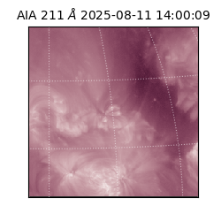 saia - 2025-08-11T14:00:09.626000