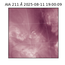 saia - 2025-08-11T19:00:09.622000