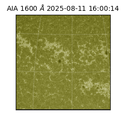 saia - 2025-08-11T16:00:14.126000