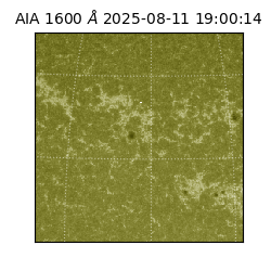 saia - 2025-08-11T19:00:14.126000