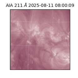 saia - 2025-08-11T08:00:09.632000