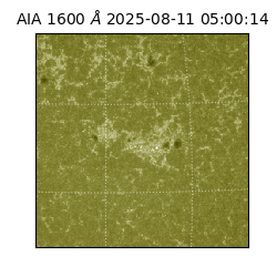 saia - 2025-08-11T05:00:14.125000