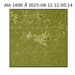 saia - 2025-08-11T12:00:14.126000