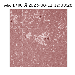 saia - 2025-08-11T12:00:28.726000