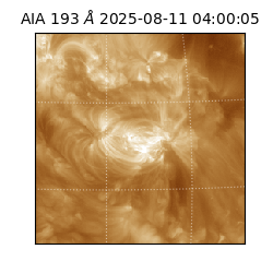 saia - 2025-08-11T04:00:05.521000