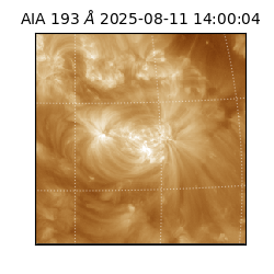 saia - 2025-08-11T14:00:04.843000