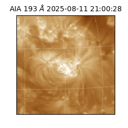 saia - 2025-08-11T21:00:28.846000