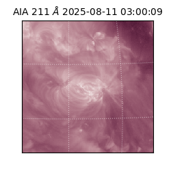 saia - 2025-08-11T03:00:09.625000