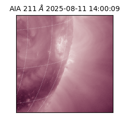 saia - 2025-08-11T14:00:09.626000