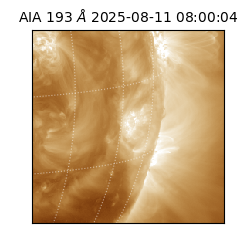saia - 2025-08-11T08:00:04.843000