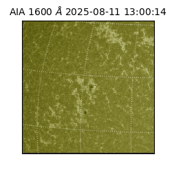 saia - 2025-08-11T13:00:14.126000