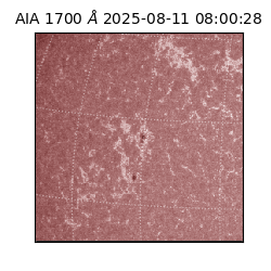 saia - 2025-08-11T08:00:28.717000