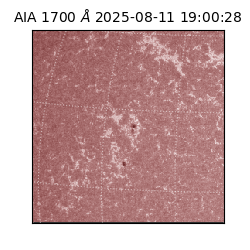 saia - 2025-08-11T19:00:28.717000