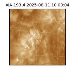 saia - 2025-08-11T10:00:04.844000