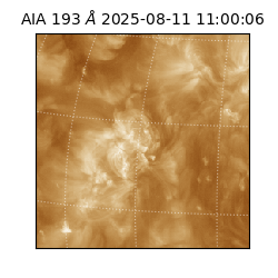 saia - 2025-08-11T11:00:06.647000