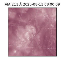 saia - 2025-08-11T08:00:09.632000