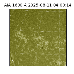 saia - 2025-08-11T04:00:14.125000