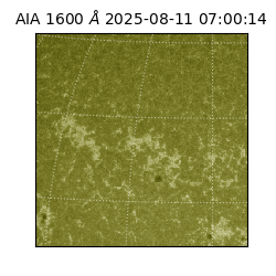 saia - 2025-08-11T07:00:14.126000