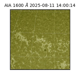 saia - 2025-08-11T14:00:14.130000