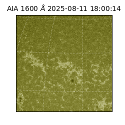 saia - 2025-08-11T18:00:14.126000