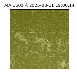 saia - 2025-08-11T19:00:14.126000