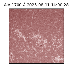 saia - 2025-08-11T14:00:28.718000