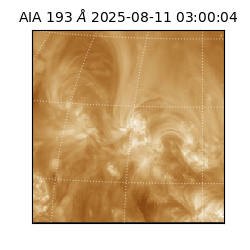 saia - 2025-08-11T03:00:04.843000