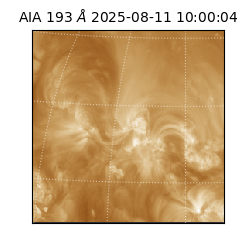 saia - 2025-08-11T10:00:04.844000