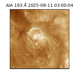 saia - 2025-08-11T03:00:04.843000