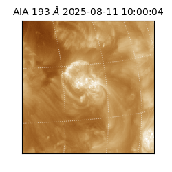 saia - 2025-08-11T10:00:04.844000