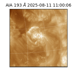 saia - 2025-08-11T11:00:06.647000