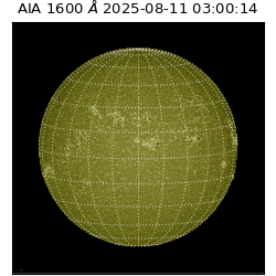 saia - 2025-08-11T03:00:14.132000