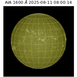 saia - 2025-08-11T08:00:14.126000